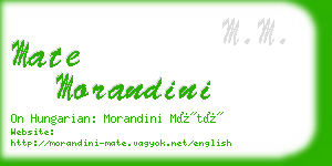 mate morandini business card